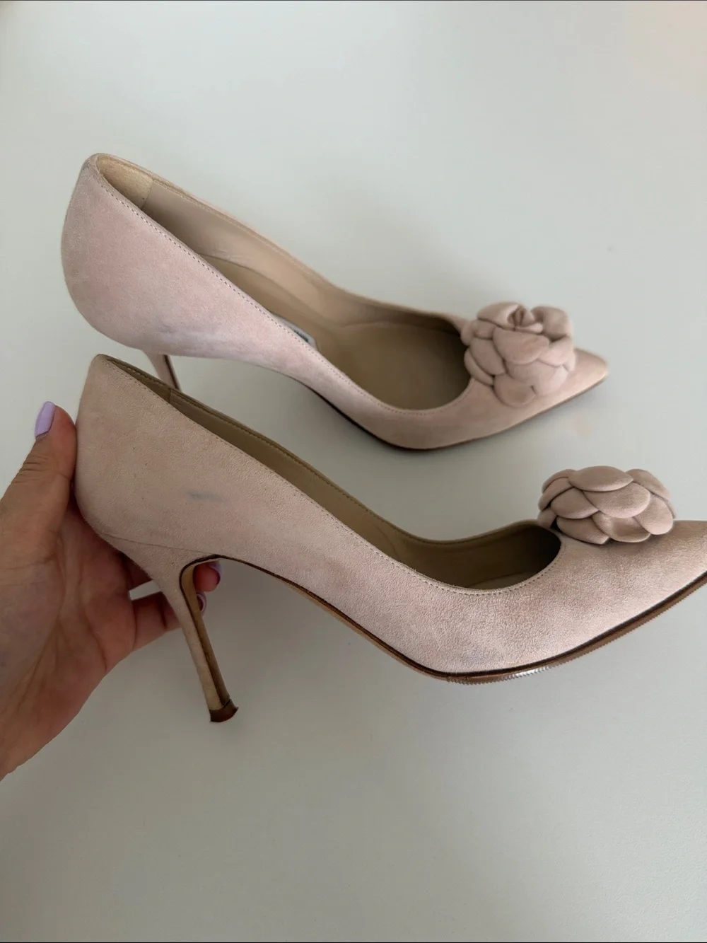 Manolo Blahnik Pale Pink/ Cream Suede Pointed-Toe Pumps with Camellia Detail